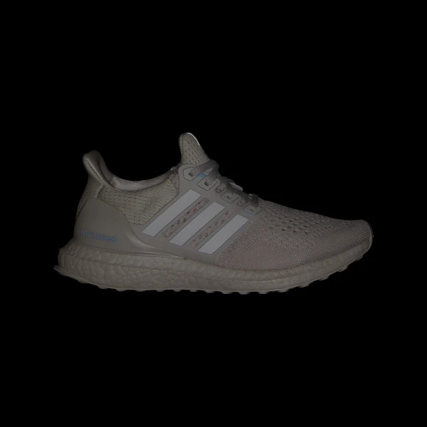 Кросівки Adidas Ultraboost 1.0 JH9211_image_6