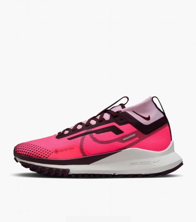 Кросівки жіночі Nike Pegasus Trail 4 Gore-Tex Waterproof Trail  FN7769-600_image_2