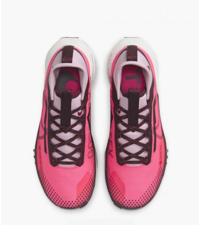 Кросівки жіночі Nike Pegasus Trail 4 Gore-Tex Waterproof Trail  FN7769-600_image_7