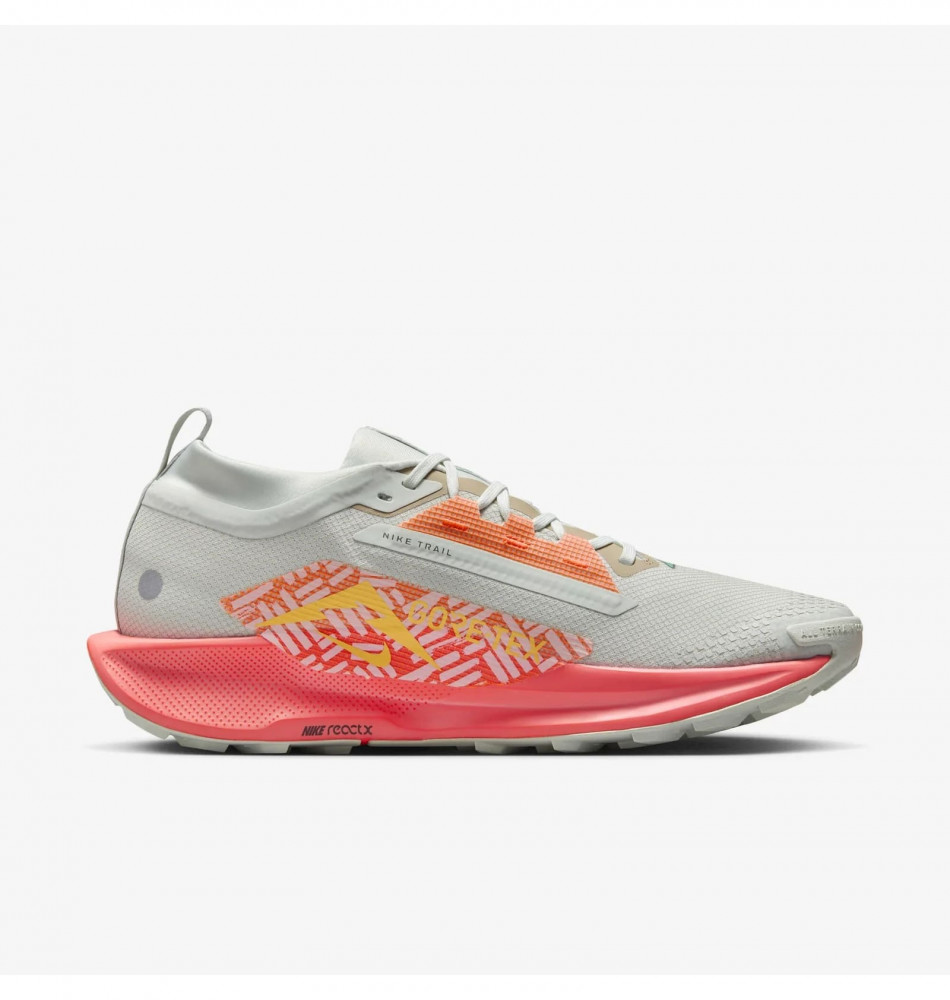 Кросівки чоловічі Nike Pegasus Trail 5 Gtx FQ0908-004 _image_1