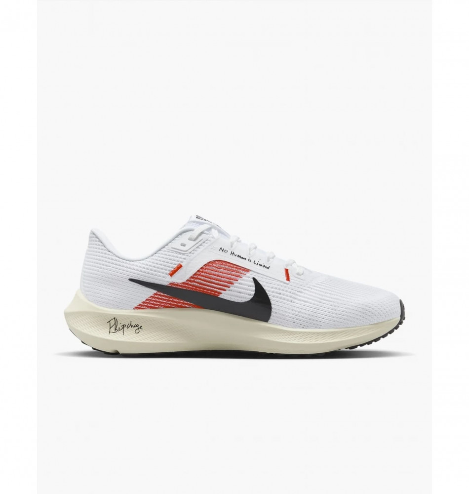 Кросівки Nike Pegasus 40 EK FJ0686-100_image_1