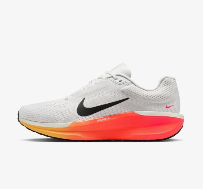 Кросівки Nike Air Winflo 11 FJ9509-111_image_2