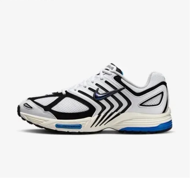 Мужские кроссовки Nike Air Pegasus 2005 IB3971-100_image_2