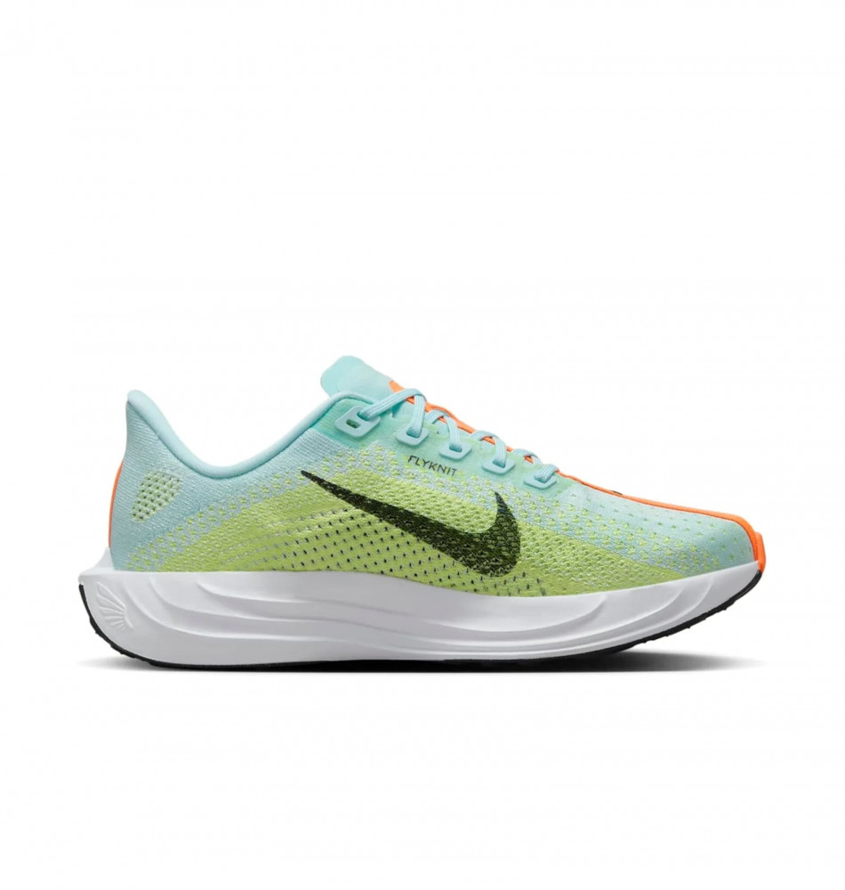 Кросівки жіночі Nike Pegasus Plus Road FQ7261-400_image_1