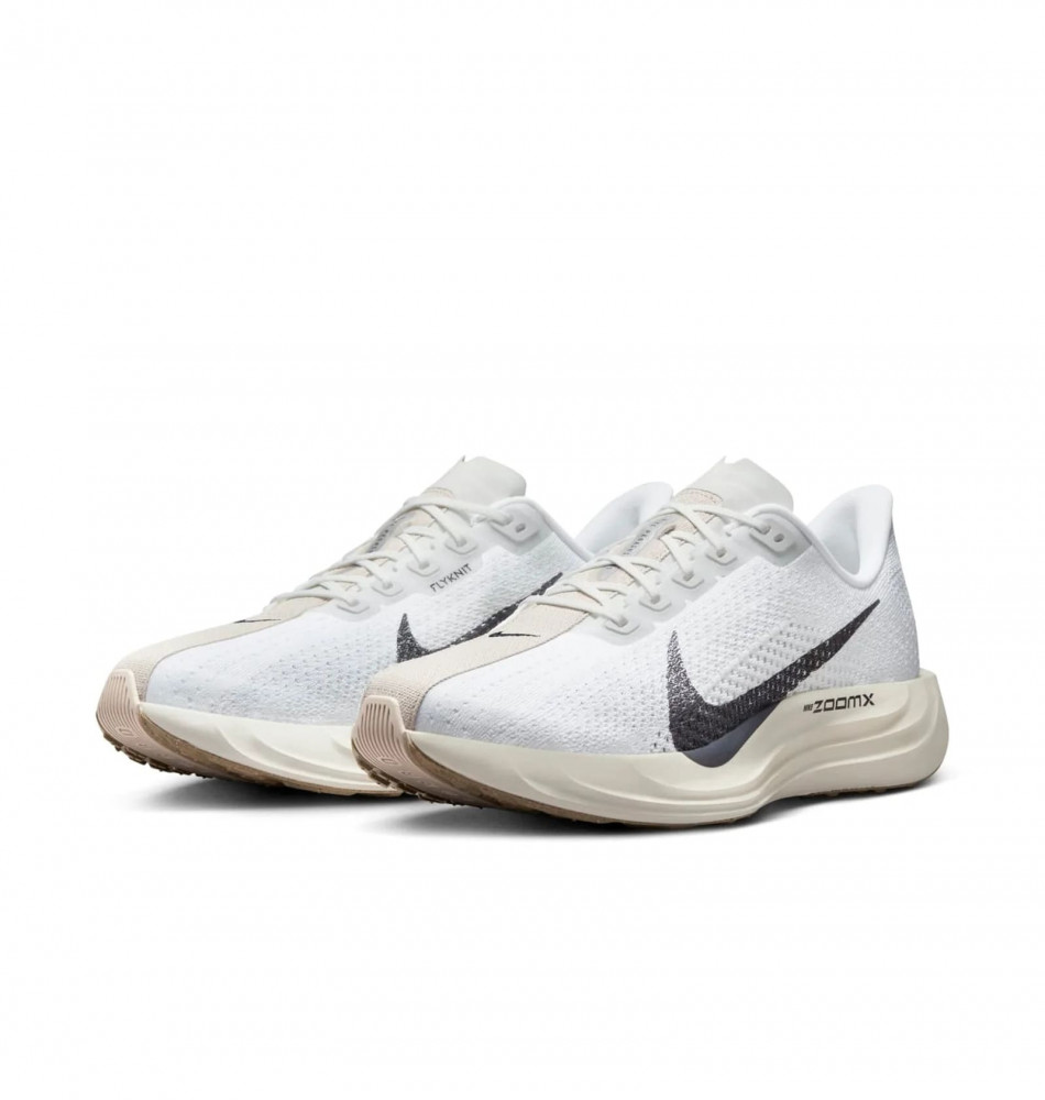 Кросівки чоловічі Nike Pegasus Plus FQ7262-100_image_2