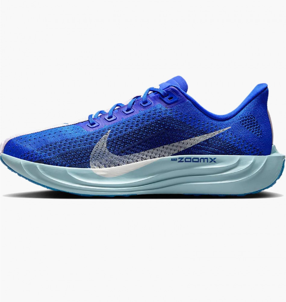Кросівки чоловічі Nike Pegasus Plus Prm Blue HQ1719-400_image_2