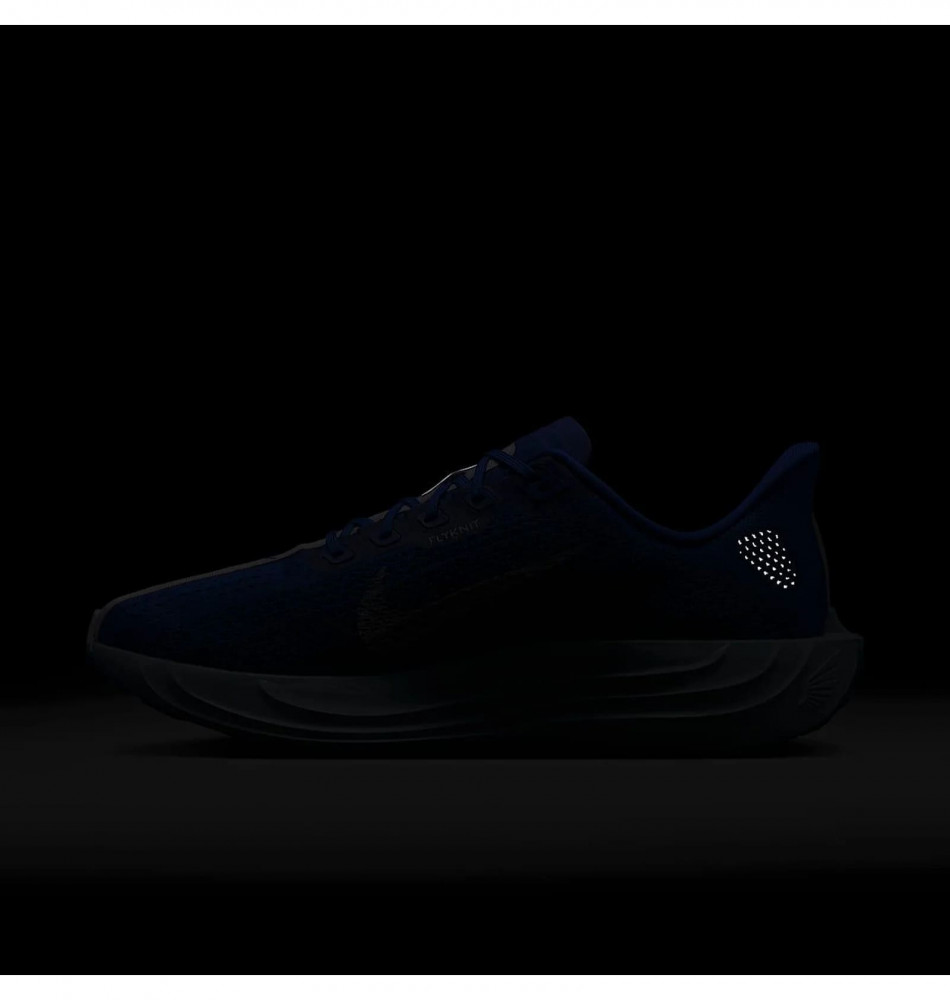 Кросівки чоловічі Nike Pegasus Plus Prm Blue HQ1719-400_image_10