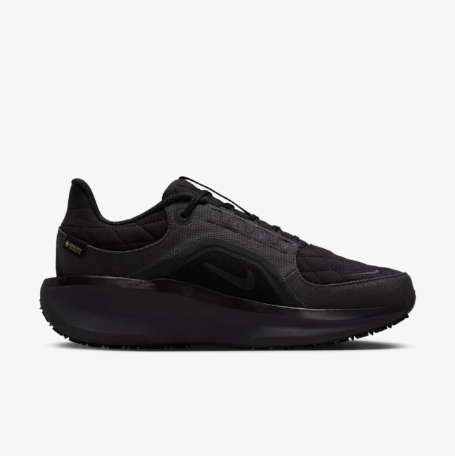 Жіночі кросівки Nike W Air Winflo 11 Gtx FQ1359-001_image_1