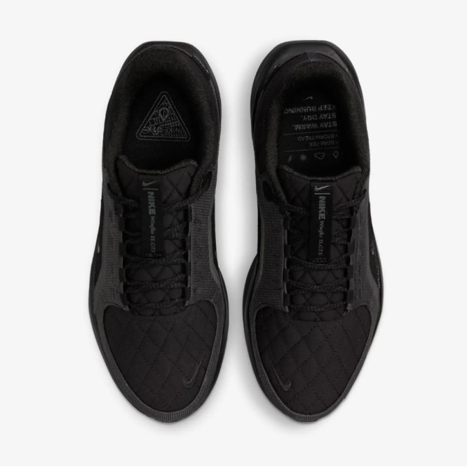 Жіночі кросівки Nike W Air Winflo 11 Gtx FQ1359-001_image_2