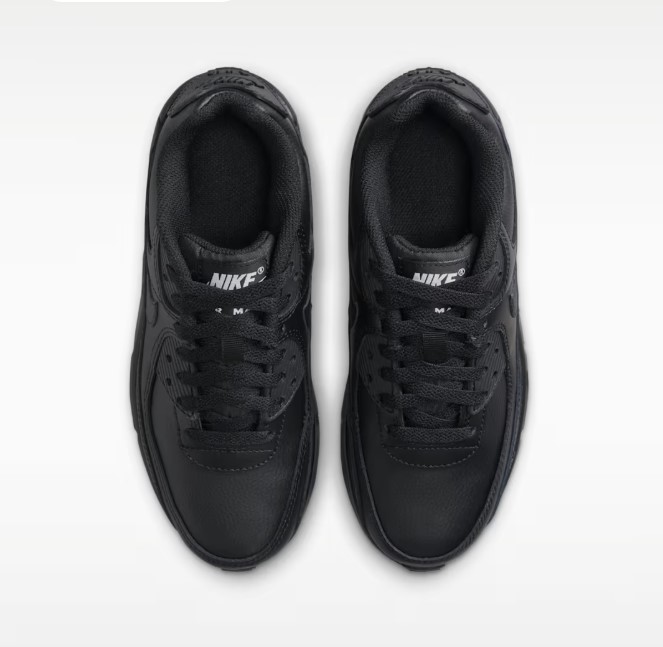 Кроссовки детские Nike Air Max 90 Ltr (Gs) CD6864-028_image_2