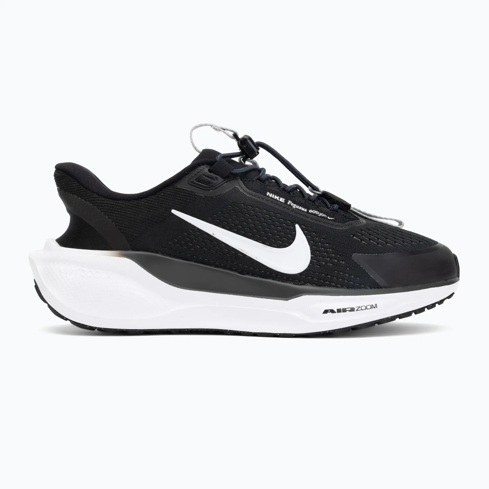 Жіночі кросівки Nike Pegasus EasyOn FQ7844-002_image_1