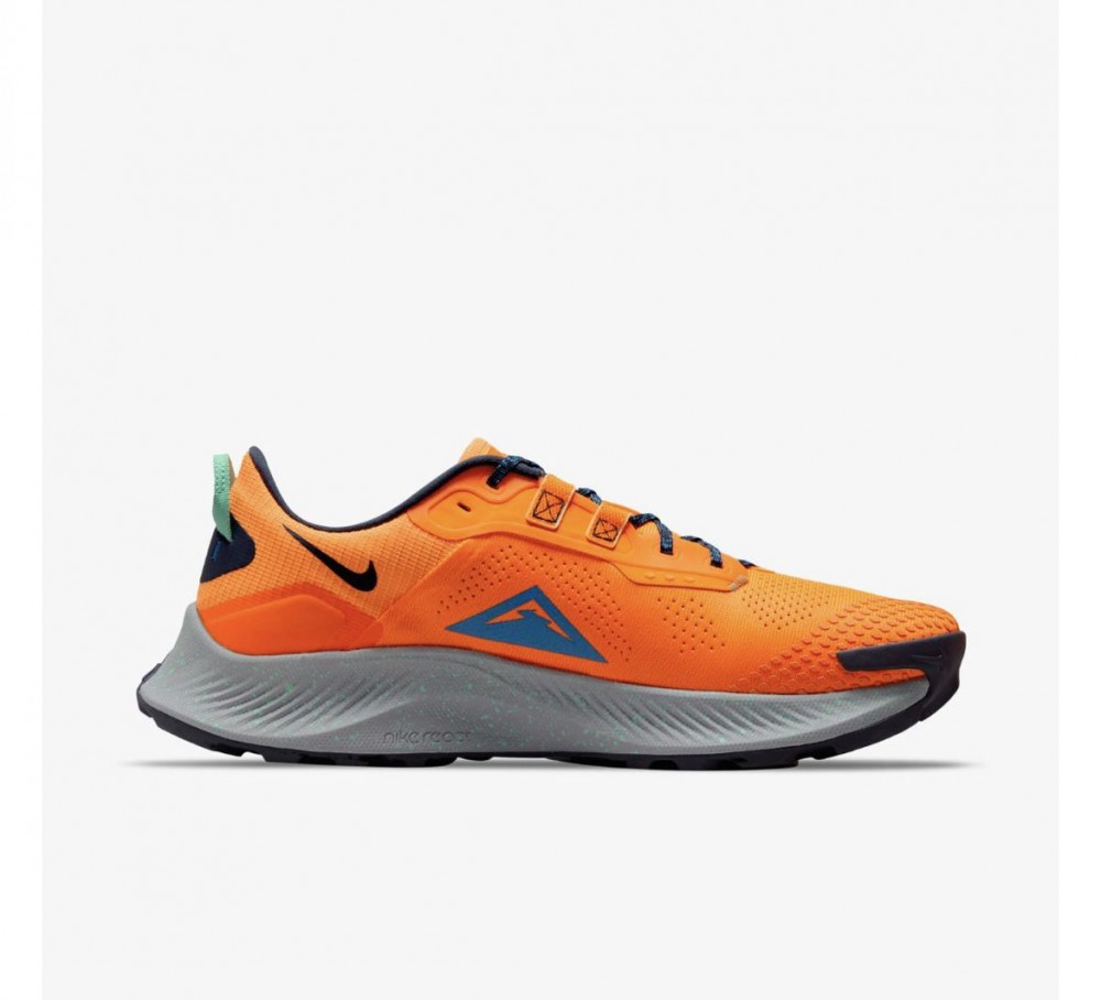Кроссовки Nike Pegasus Trail 3 DA8697-800_image_1