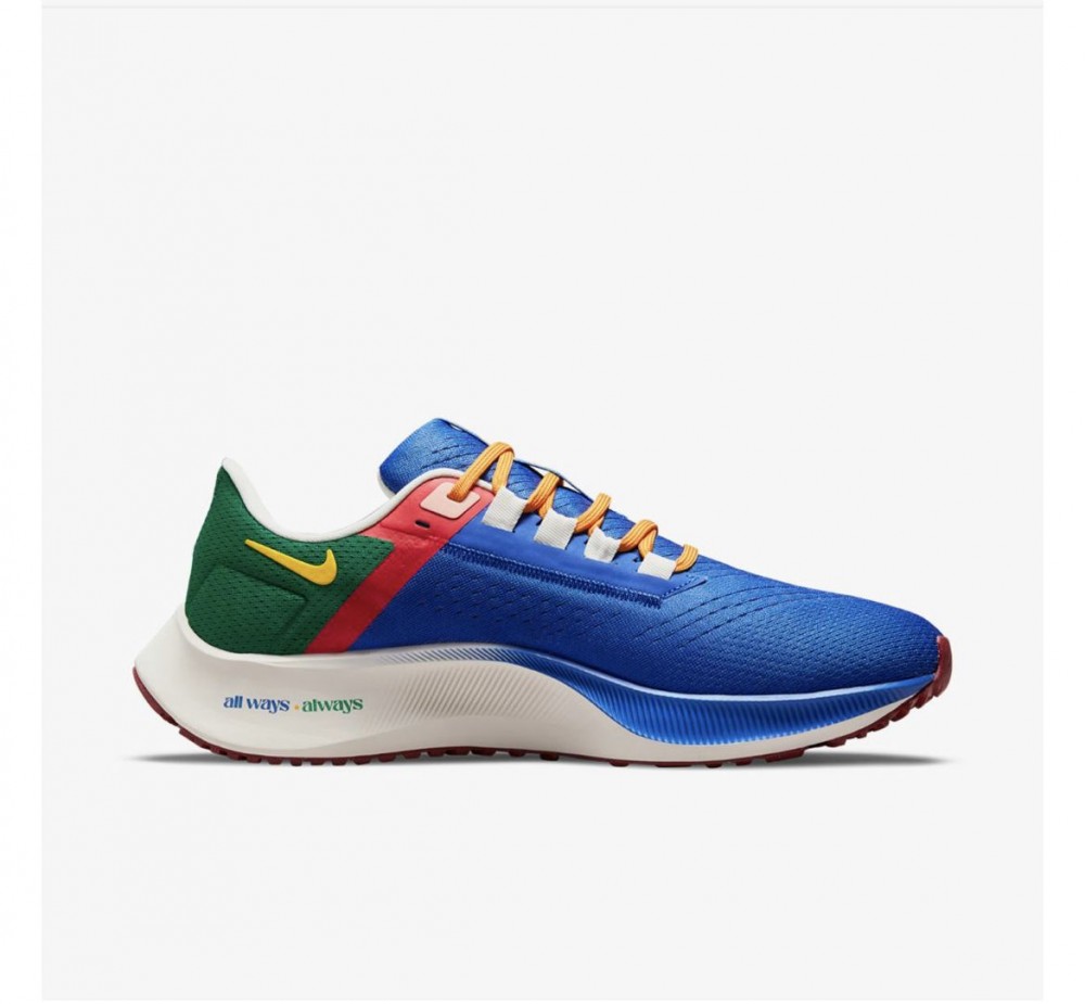 Чоловічі кросівки Nike Air Zoom Pegasus 38 DO7763-400_image_1