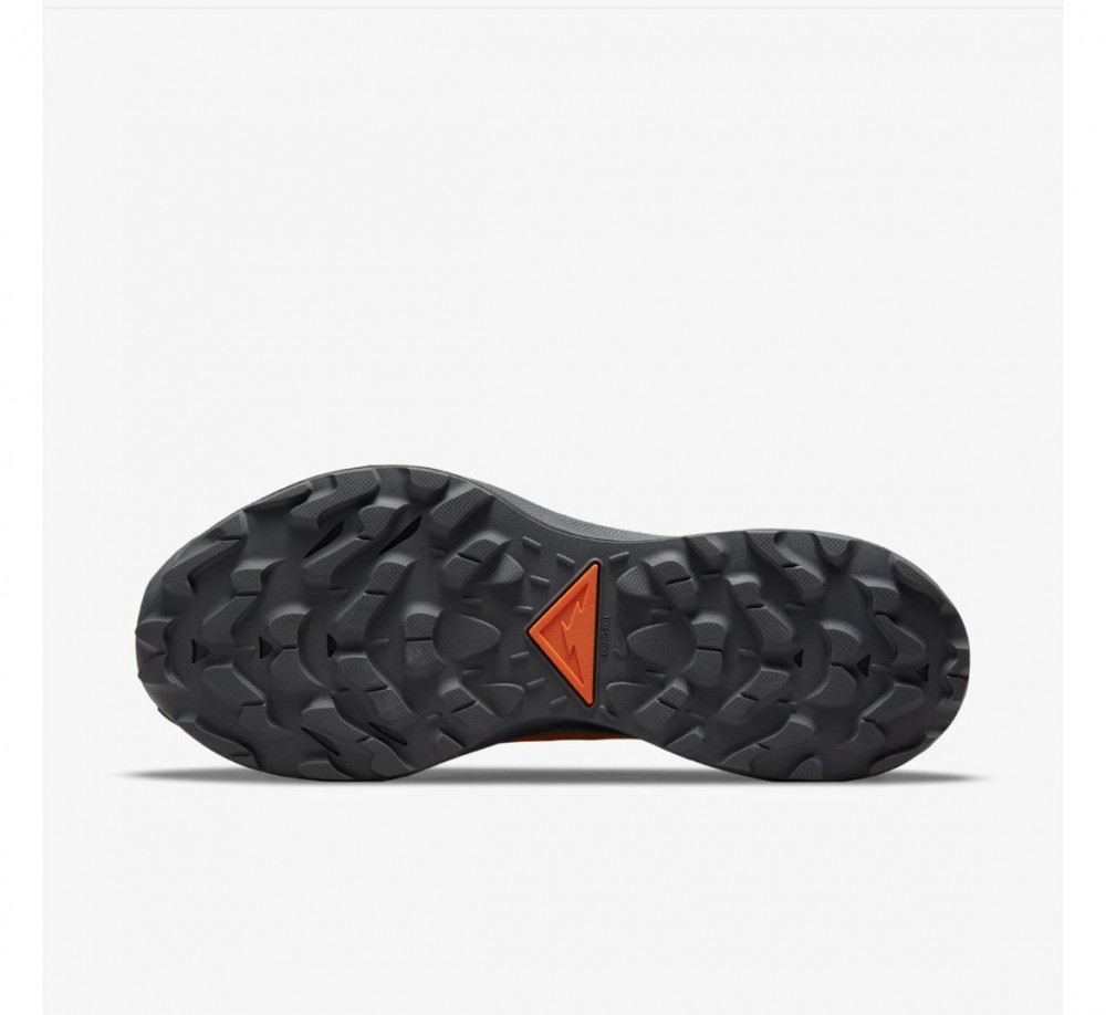 кросівки NIKE PEGASUS TRAIL DO6728-300_image_9