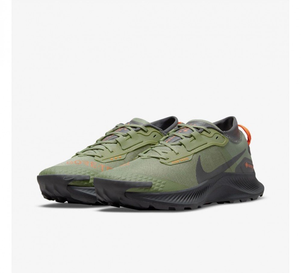 кросівки NIKE PEGASUS TRAIL DO6728-300_image_4