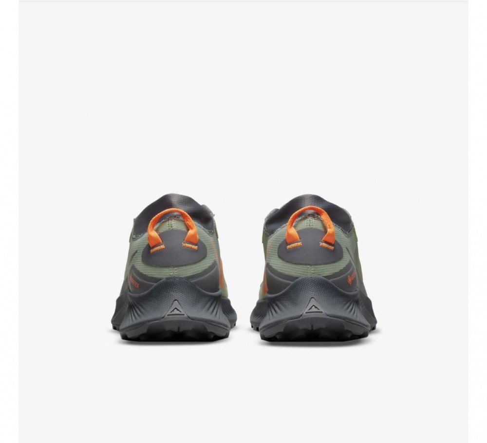 кросівки NIKE PEGASUS TRAIL DO6728-300_image_3