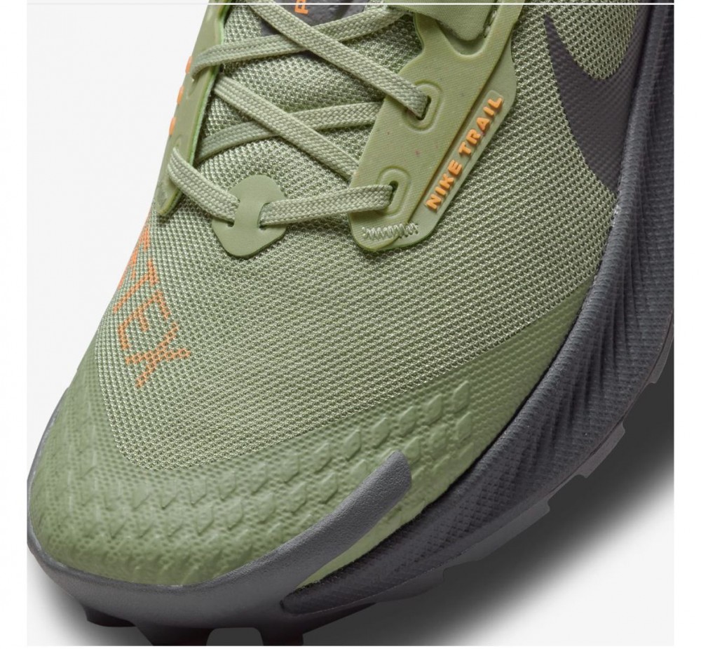 кросівки NIKE PEGASUS TRAIL DO6728-300_image_5