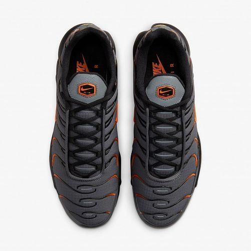 Чоловічі кросівки Nike Air Max Plus FB3358-001_image_6
