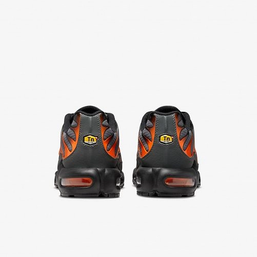 Чоловічі кросівки Nike Air Max Plus FB3358-001_image_7