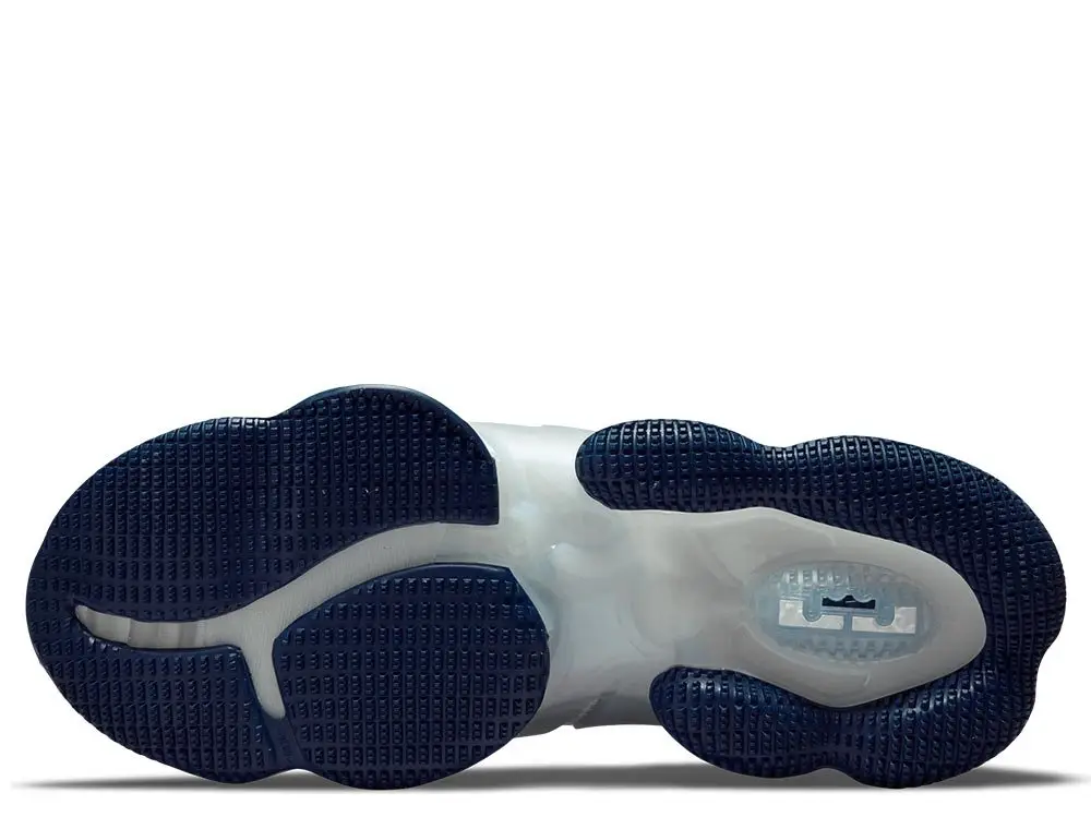Кросівки Nike Lebron XIX Space Jam White Blue DC9338-100_image_5