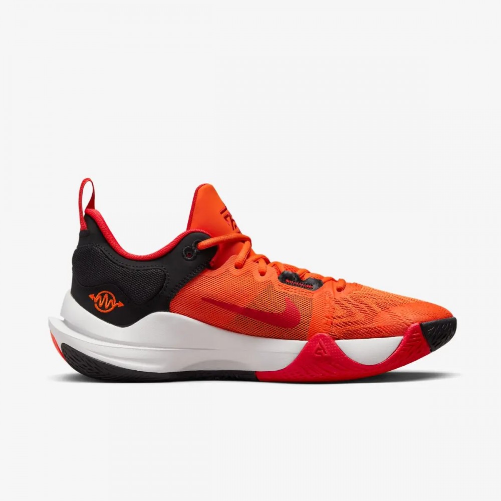 Кросівки чоловічі Nike Giannis Immortality 2 DM0825-800_image_1