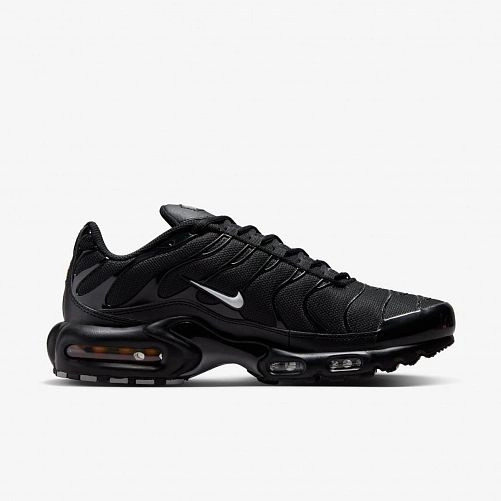 Кросівки Nike Air Max Plus FJ4224-001_image_1