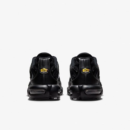 Кросівки Nike Air Max Plus FJ4224-001_image_3