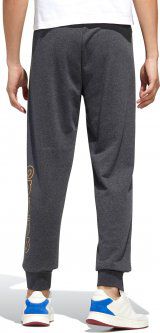 Чоловічі брюки Adidas Essentials FM3446_image_2