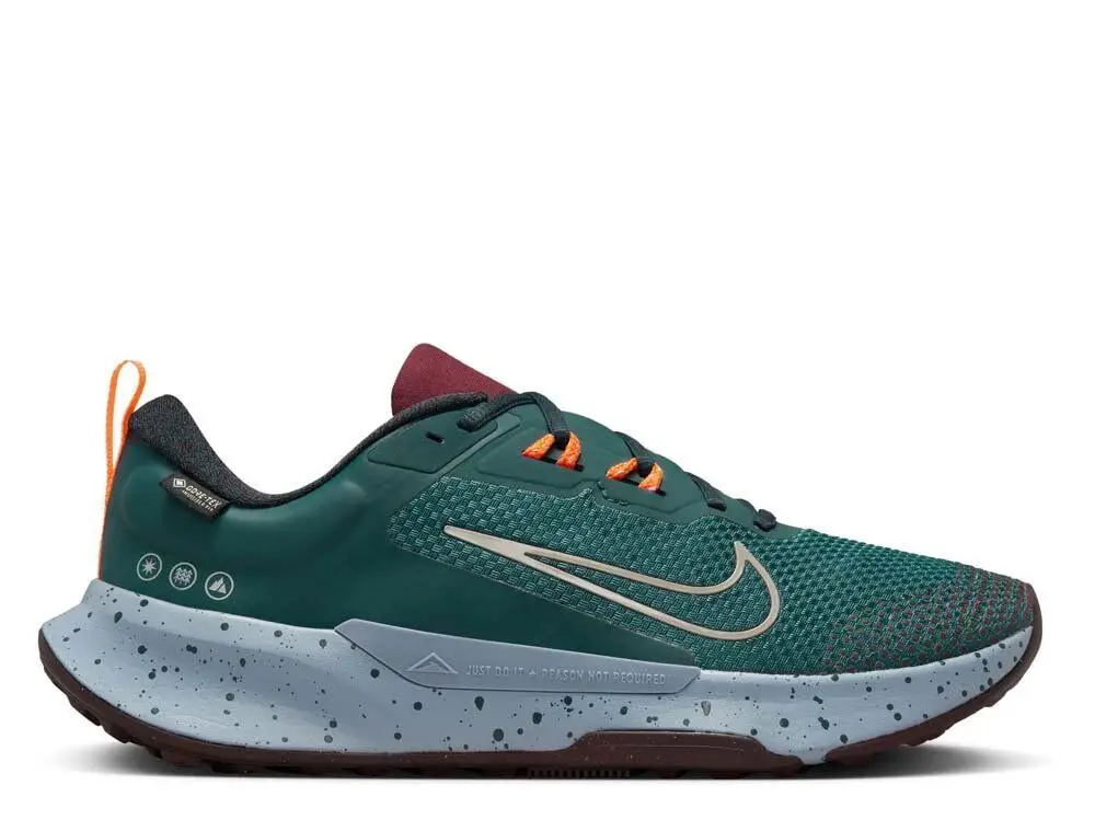 Чоловічі кросівки Nike Juniper Trail 2 GTX FB2067-300_image_1