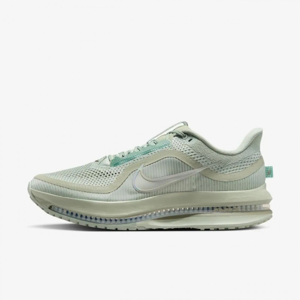 Кросівки чоловічі Nike Pegasus Premium HQ2592-300_image_2