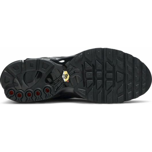 Мужские кроссовки Nike Air Max Plus AJ2029-001_image_5