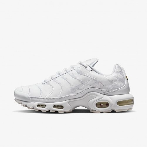 Мужские кроссовки Nike Air Max Plus AJ2029-100_image_2