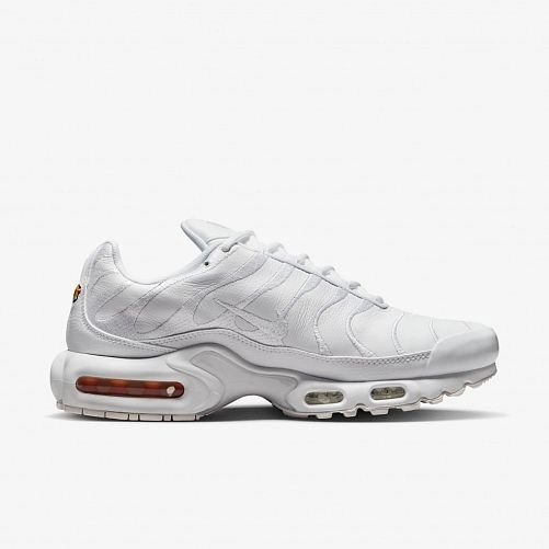 Мужские кроссовки Nike Air Max Plus AJ2029-100_image_1