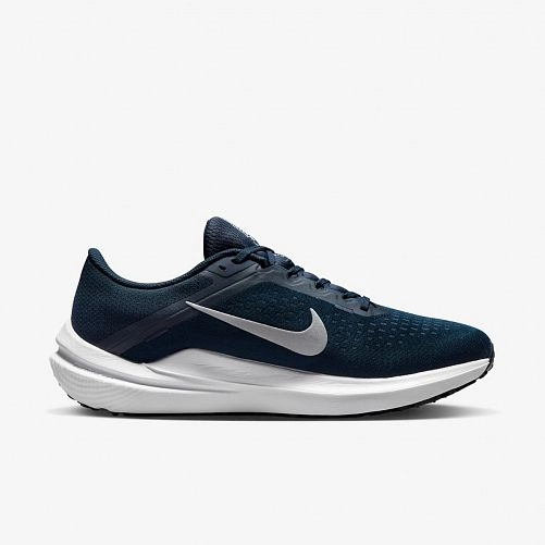 Чоловічі кросівки Nike Air Winflo 10 DV4022-400_image_1