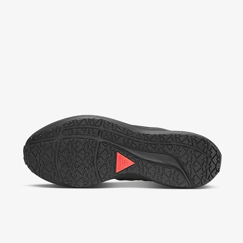 Кросівки Nike Air Zoom Pegasus 39 Shield Do7625-001_image_5