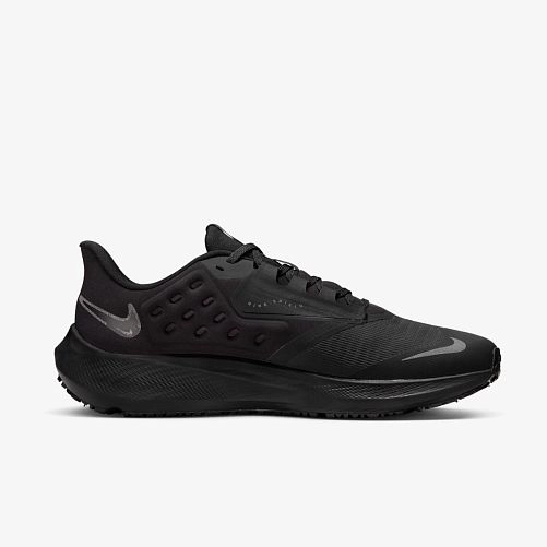 Кросівки Nike Air Zoom Pegasus 39 Shield Do7625-001_image_1