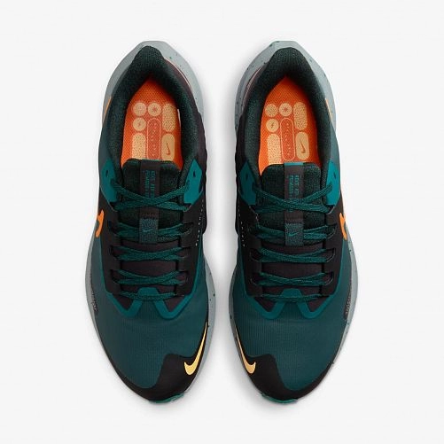 Кросівки Nike Air Zoom Pegasus 39 Shield Do7625-300_image_5