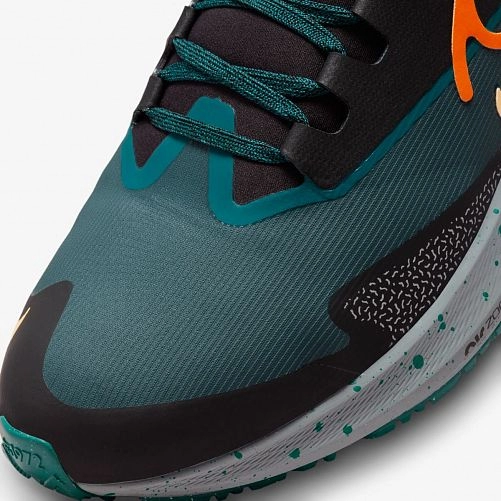 Кросівки Nike Air Zoom Pegasus 39 Shield Do7625-300_image_9