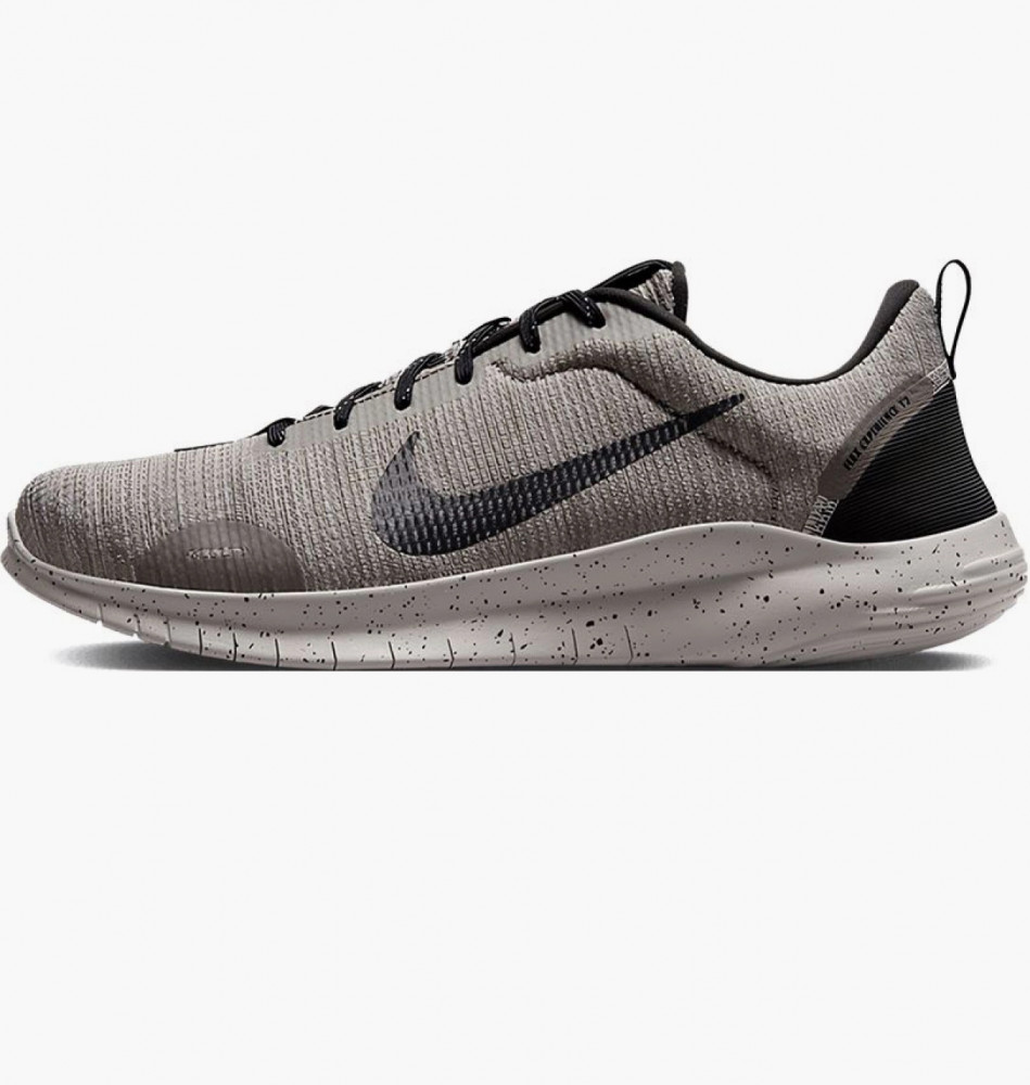 Кросівки Nike Flex Experience Run 12 DV0740-001_image_2