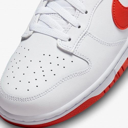 Кросівки Nike Dunk Low DV0831-103_image_6