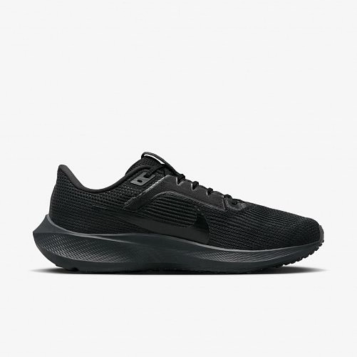 Кросівки Nike Pegasus 40 DV3853-002_image_1