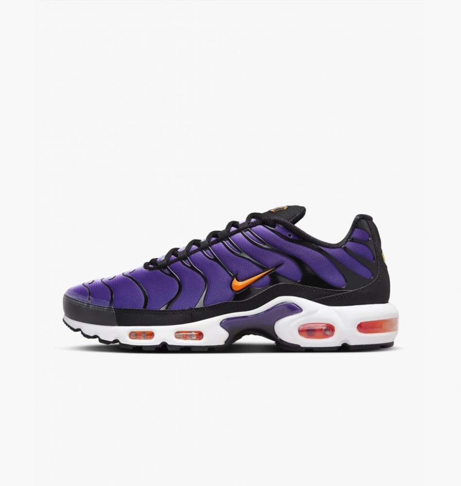 Кросівки Nike Air Max Plus Og DX0755-500_image_2