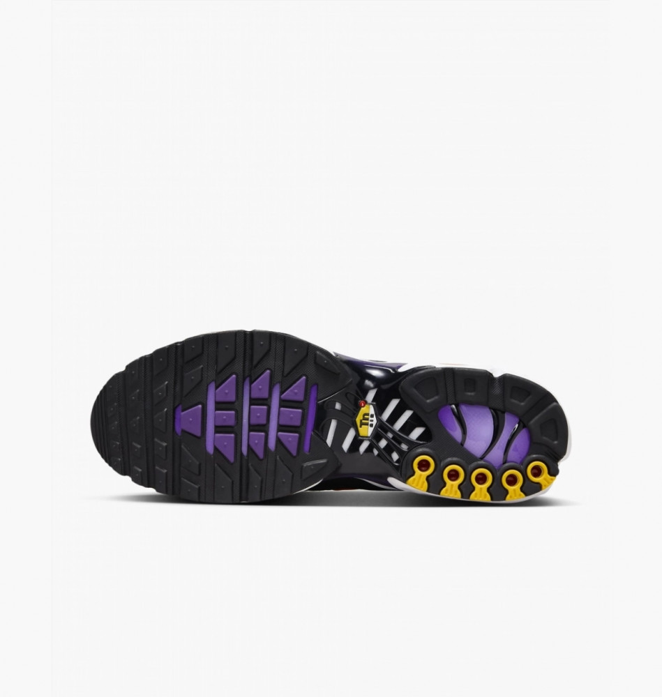Кросівки Nike Air Max Plus Og DX0755-500_image_3