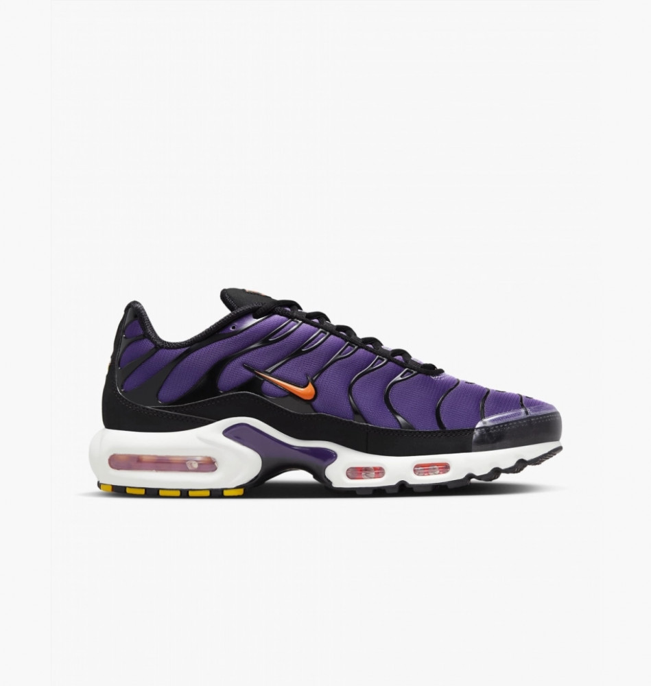 Кросівки Nike Air Max Plus Og DX0755-500_image_1