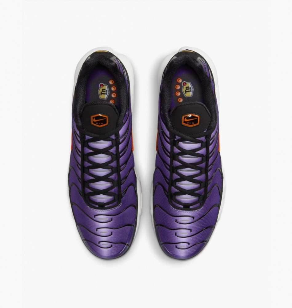 Кросівки Nike Air Max Plus Og DX0755-500_image_6