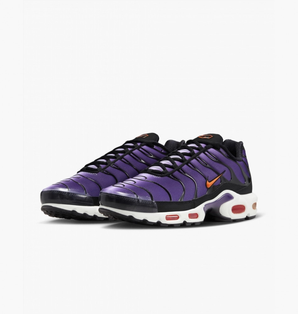 Кросівки Nike Air Max Plus Og DX0755-500_image_4