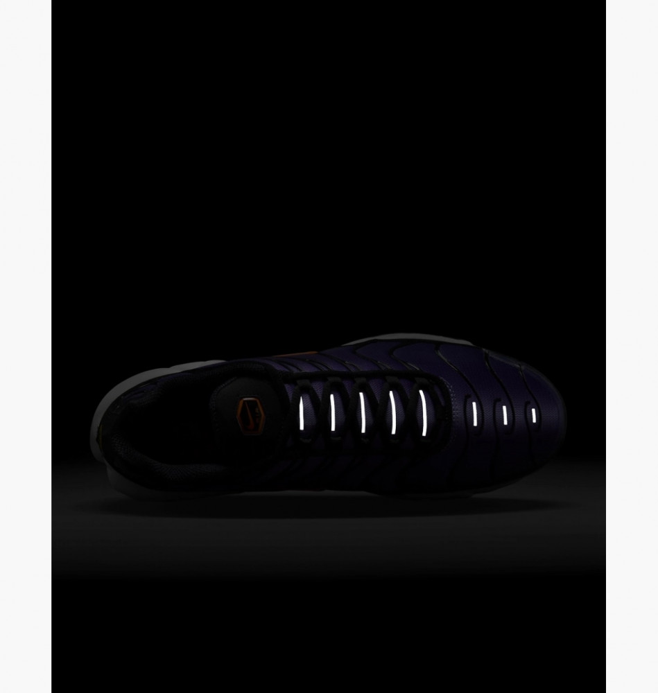 Кросівки Nike Air Max Plus Og DX0755-500_image_5