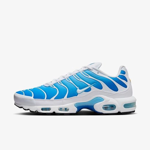 Чоловічі кросівки Nike Air Max Plus 852630-411_image_2