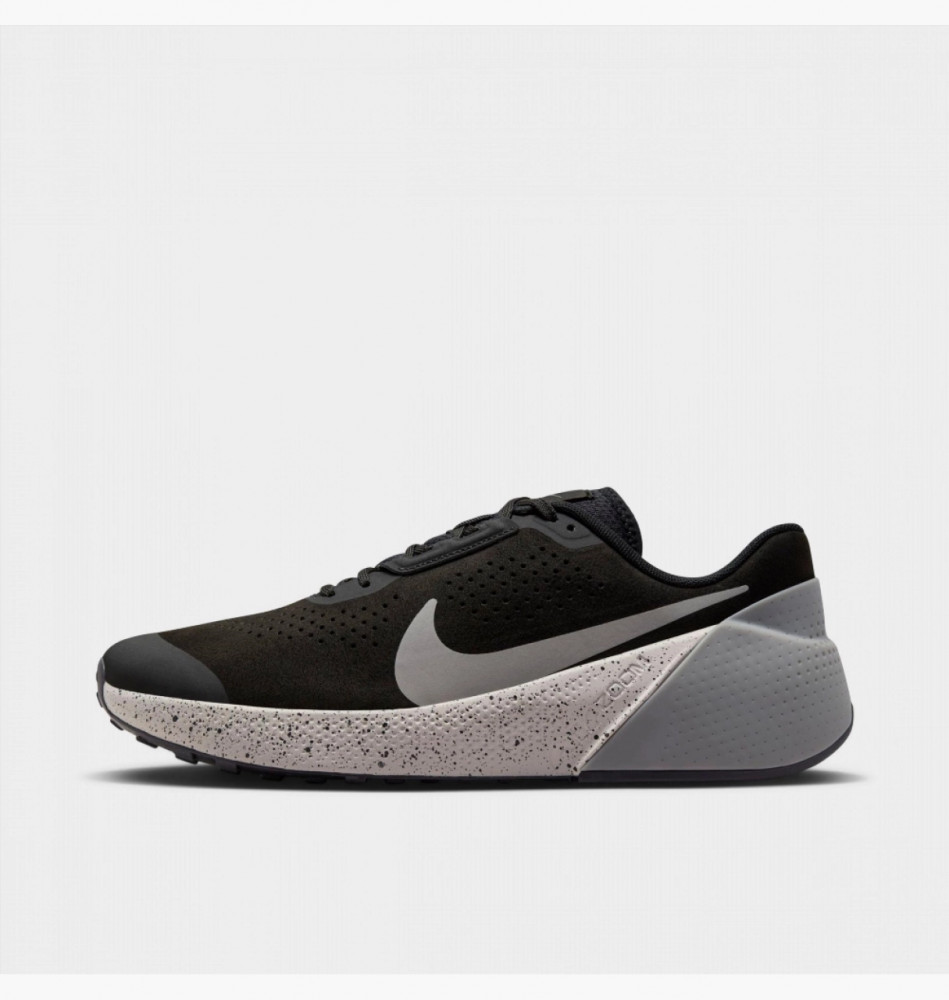 Кросівки Nike Air Zoom Tr 1 DX9016-007_image_1