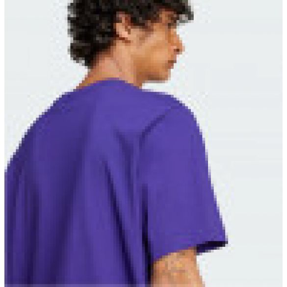 Чоловічі футболки Adidas Trefoil JJ0666_image_3